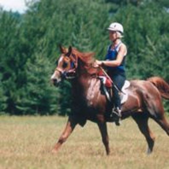 Meet your Posher, Sabine - Picture 1 of 1